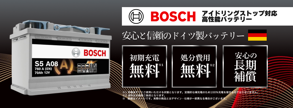 bosch_battery_sldr_new.jpg
