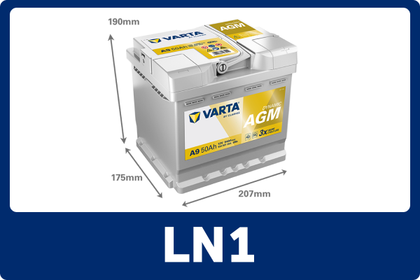 LN1