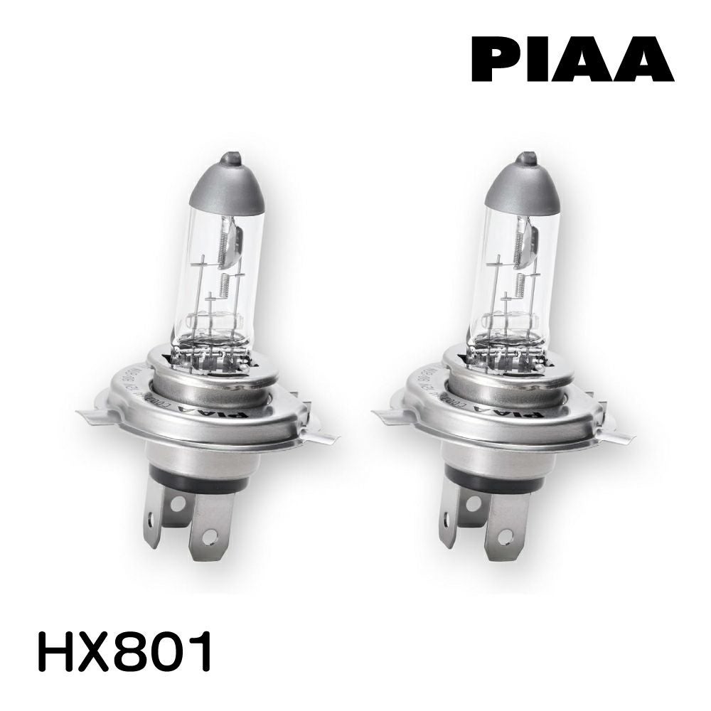 RAYBRIG PIAA セット LED/ハロゲン　ライト RAYBRIG PIAA セット LED/ハロゲン ライト